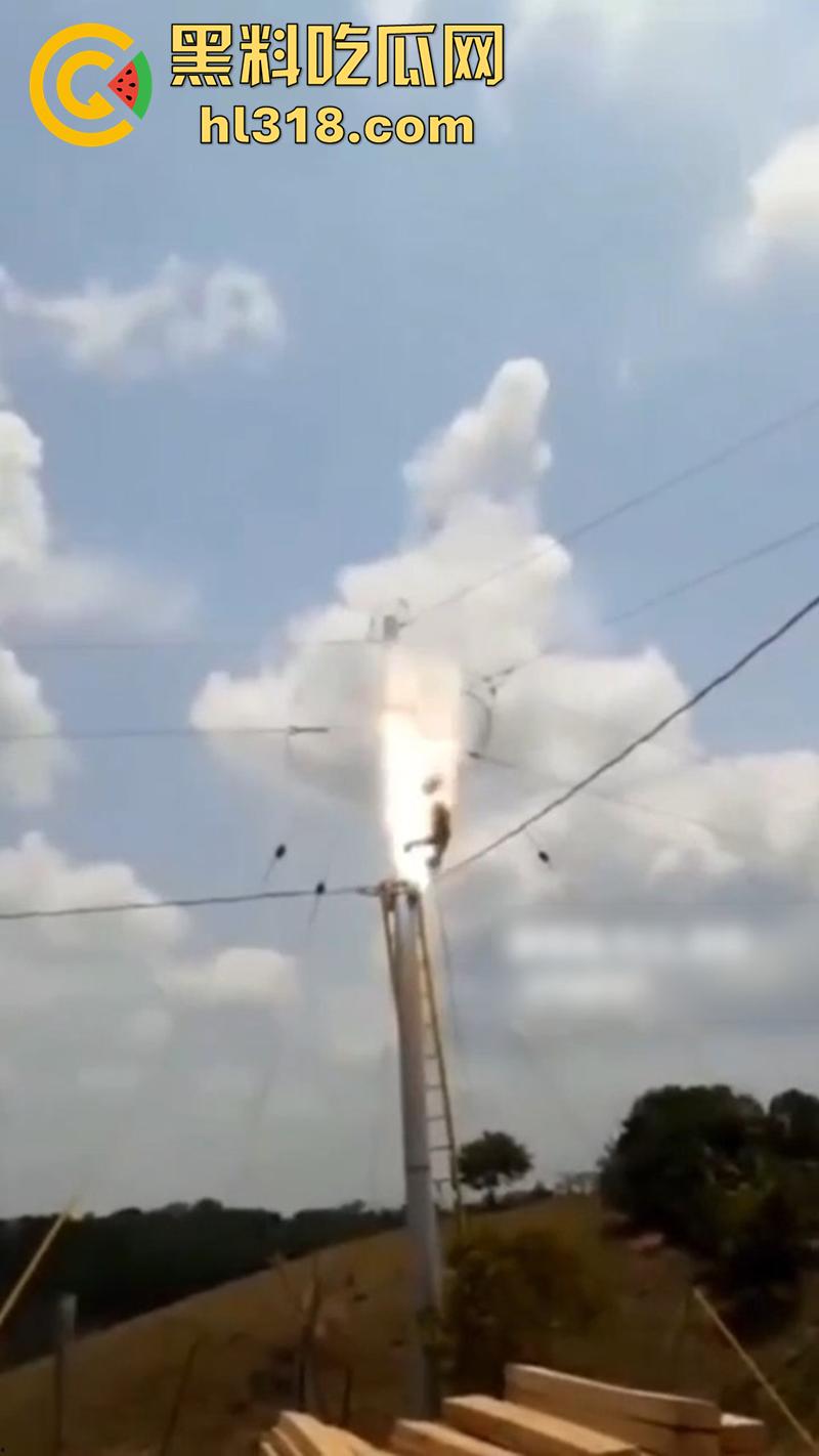 美国农场高压触电事故，农场主找来电工偷电，结果电工操作失误，竟直接当场电熟 现场画面流出！-6