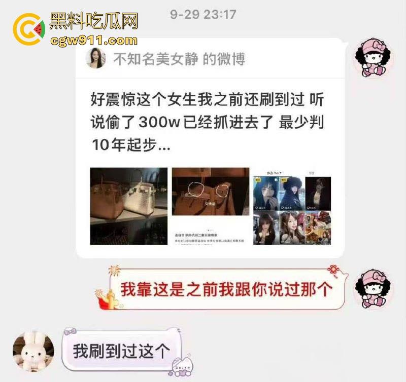 纯欲网红【小鱼丸子】变身怪盗基德！私下竟是偷包赌狗，600万奢侈品被调包，靠卖身还赌债，却还偷朋友东西变现！-2