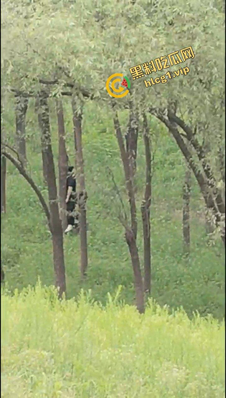 河南台前县 抑郁症女子树林上吊自缢！被路人发现并报警 全程拍摄！-3