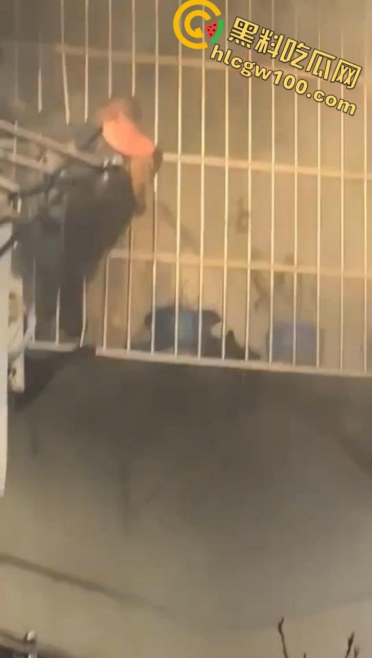 天塌了！南太湖突发噩梦级火灾！某小区瞬间变 “火场”，一死一伤，火光浓烟惊煞众人-4