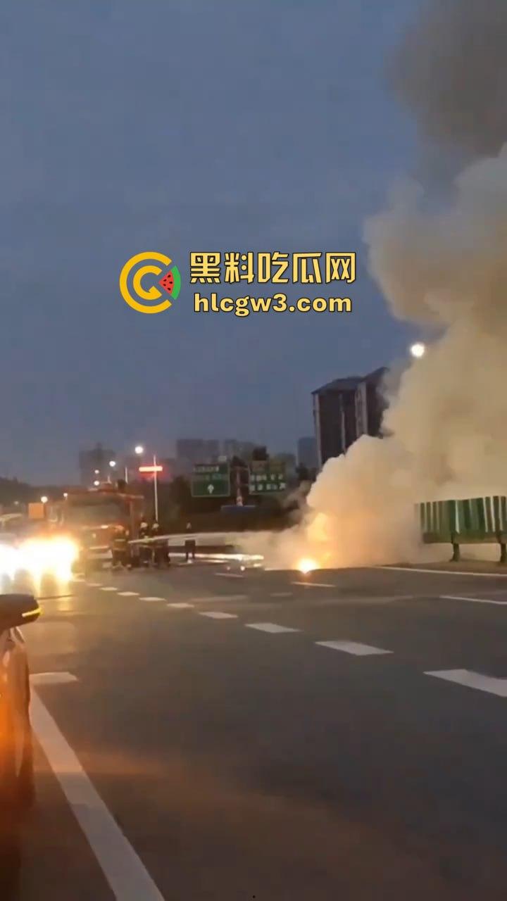 九江首辆紫色小米SU7遭遇车祸 电车安然无恙 油车烧成灰 雷总金字招牌造车没偷工减料！-11