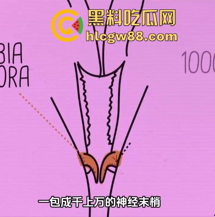 英国裸体相亲 Naked Attraction！非诚勿扰 女的看鸡巴大小 男的对臀围评估选择最佳伴侣-7