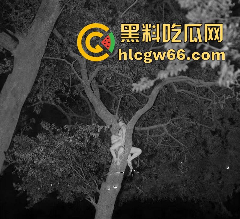 情侣周末野外游玩 一时兴起居然爬到树上打炮 抱着树枝被后入 还真会选地方呢!-6