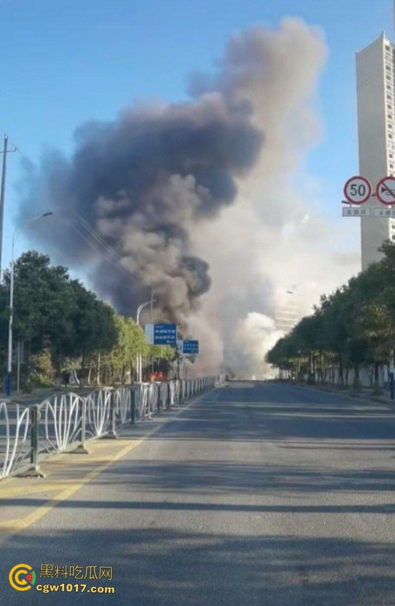 浏阳烟花爆炸事件，勇鑫烟花老板实名举报腐败官员吃分行收贿，被禁卖绝望吃农药，自爆门店轰塌大楼 ！-4