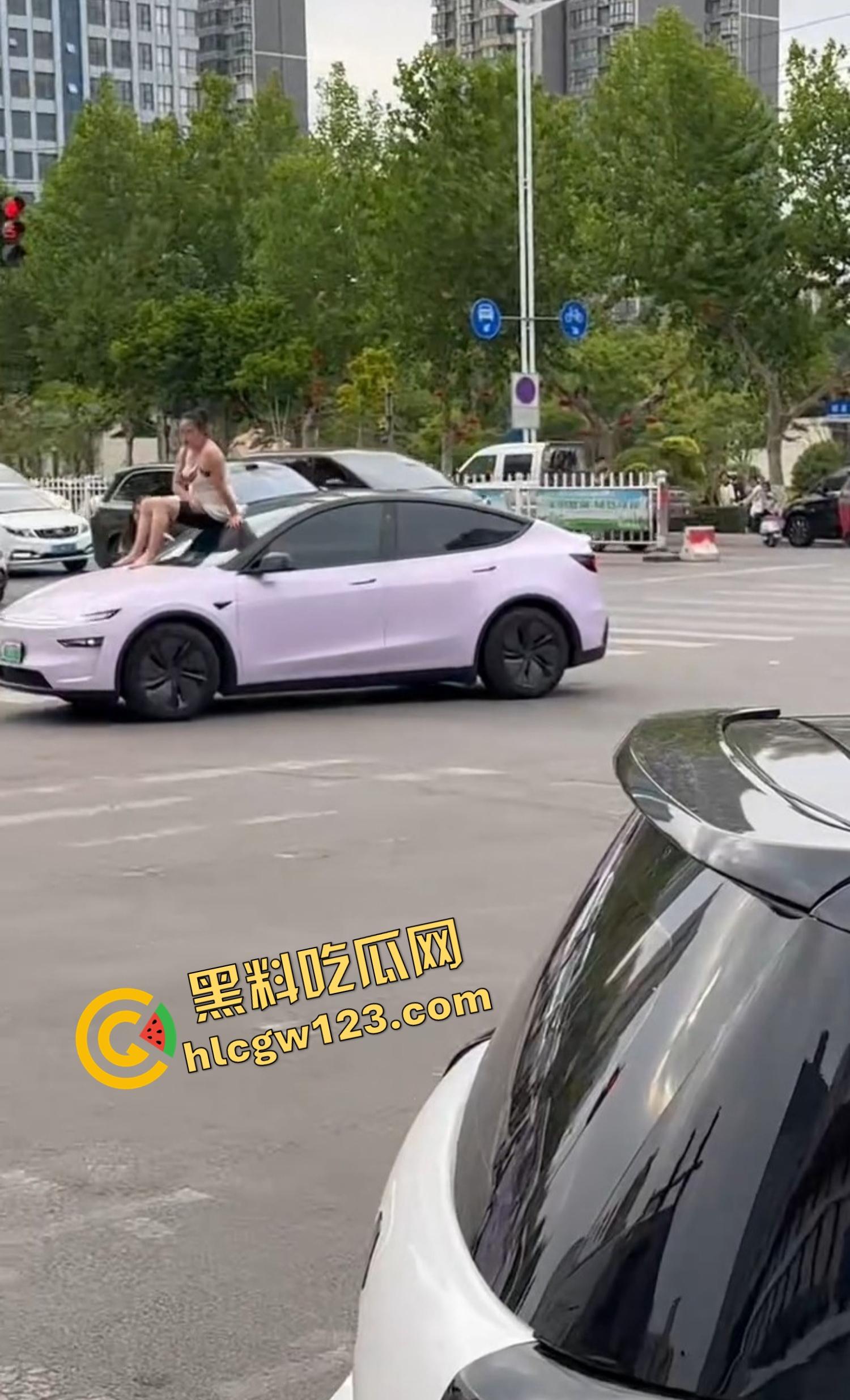 河南女版绿魔开挂上线，集美爬车无差别砸车，特斯拉一脚电门姐你是来耍杂技还是找死的？-6