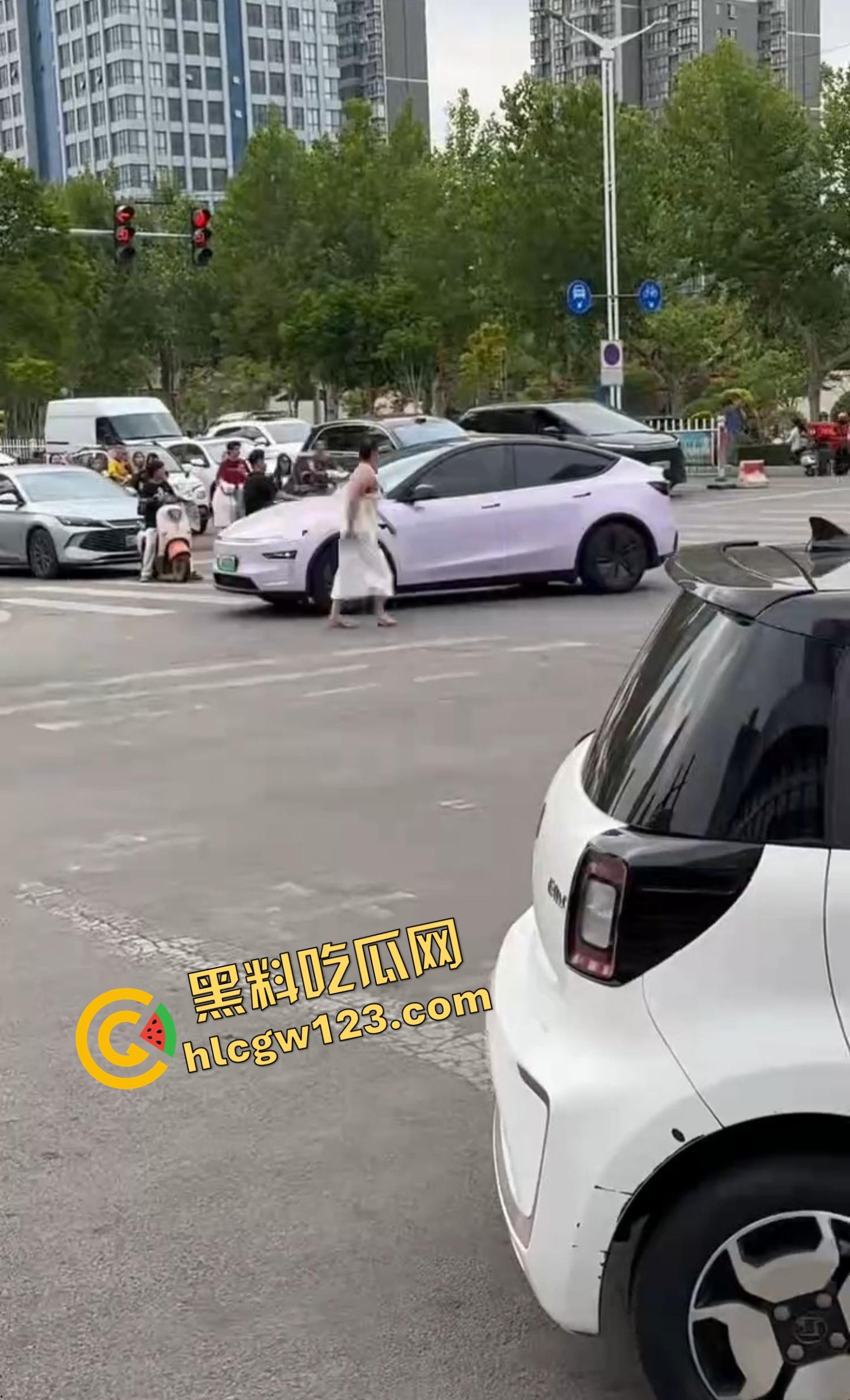 河南女版绿魔开挂上线，集美爬车无差别砸车，特斯拉一脚电门姐你是来耍杂技还是找死的？-7