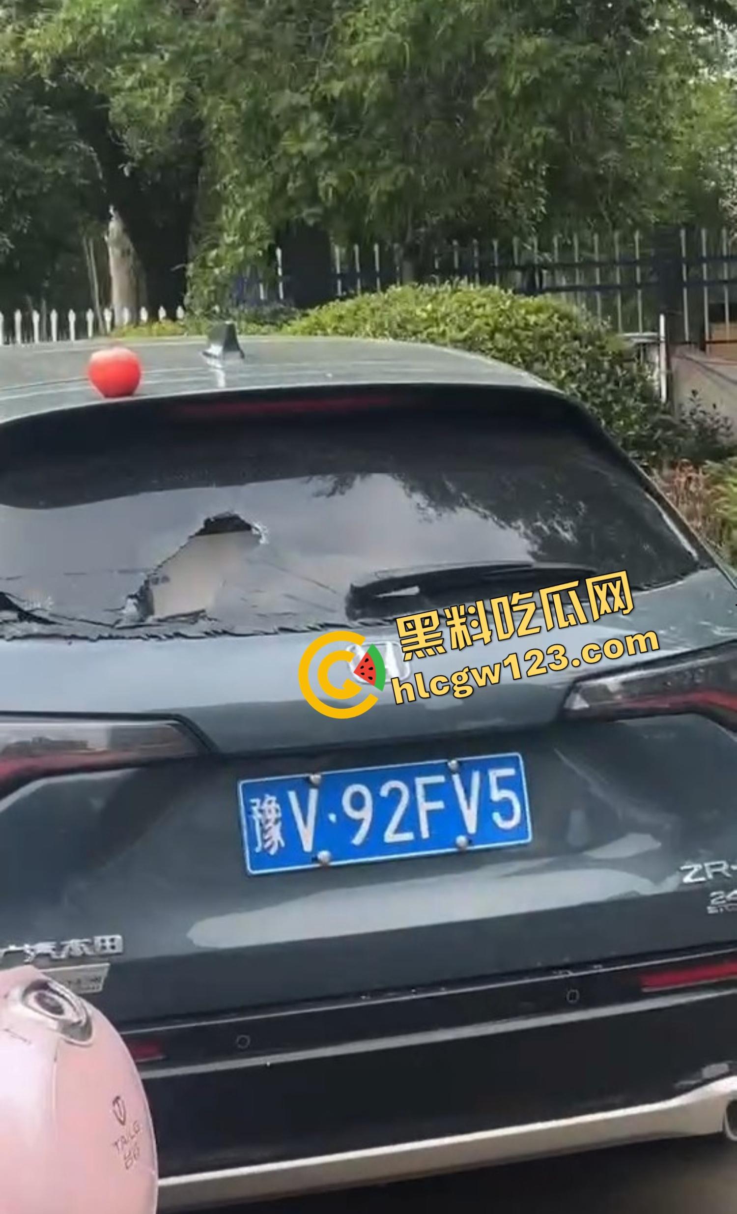 河南女版绿魔开挂上线，集美爬车无差别砸车，特斯拉一脚电门姐你是来耍杂技还是找死的？-8