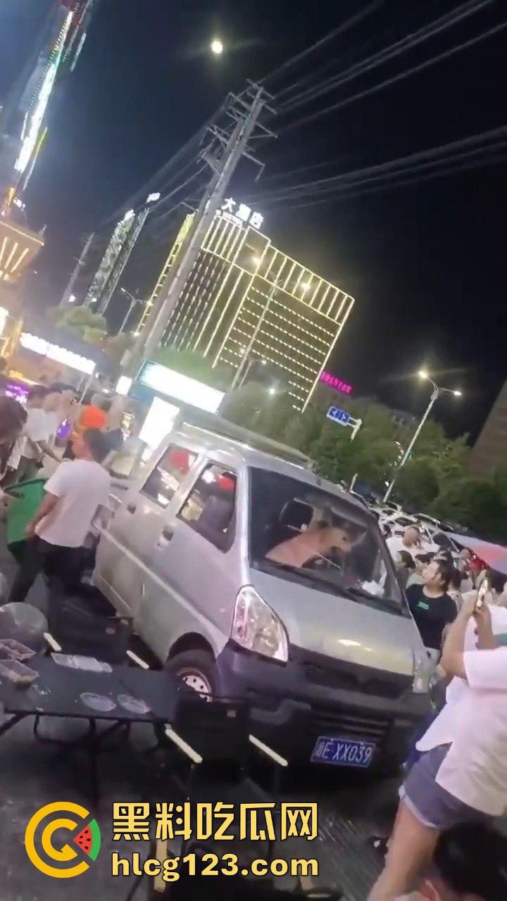 湖南邵东拉布拉多狗司机开倒车撞摊，装无辜伸舌头竟然成了明星！-11
