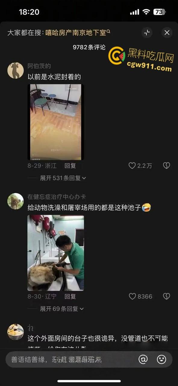 南京建邺区安民村某住宅,被房产中介发现地下室通道,建房期间正是1996年南京碎尸案,血腥味隐约飘密布水龙头!-5