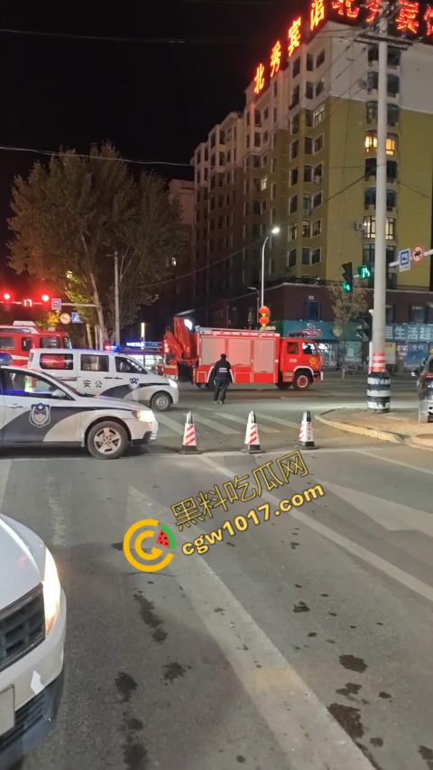 惊讶!宝清市街头惊现巨熊,警察开枪击毙,血洒街头,网友热议动物保护与城市安全!-8