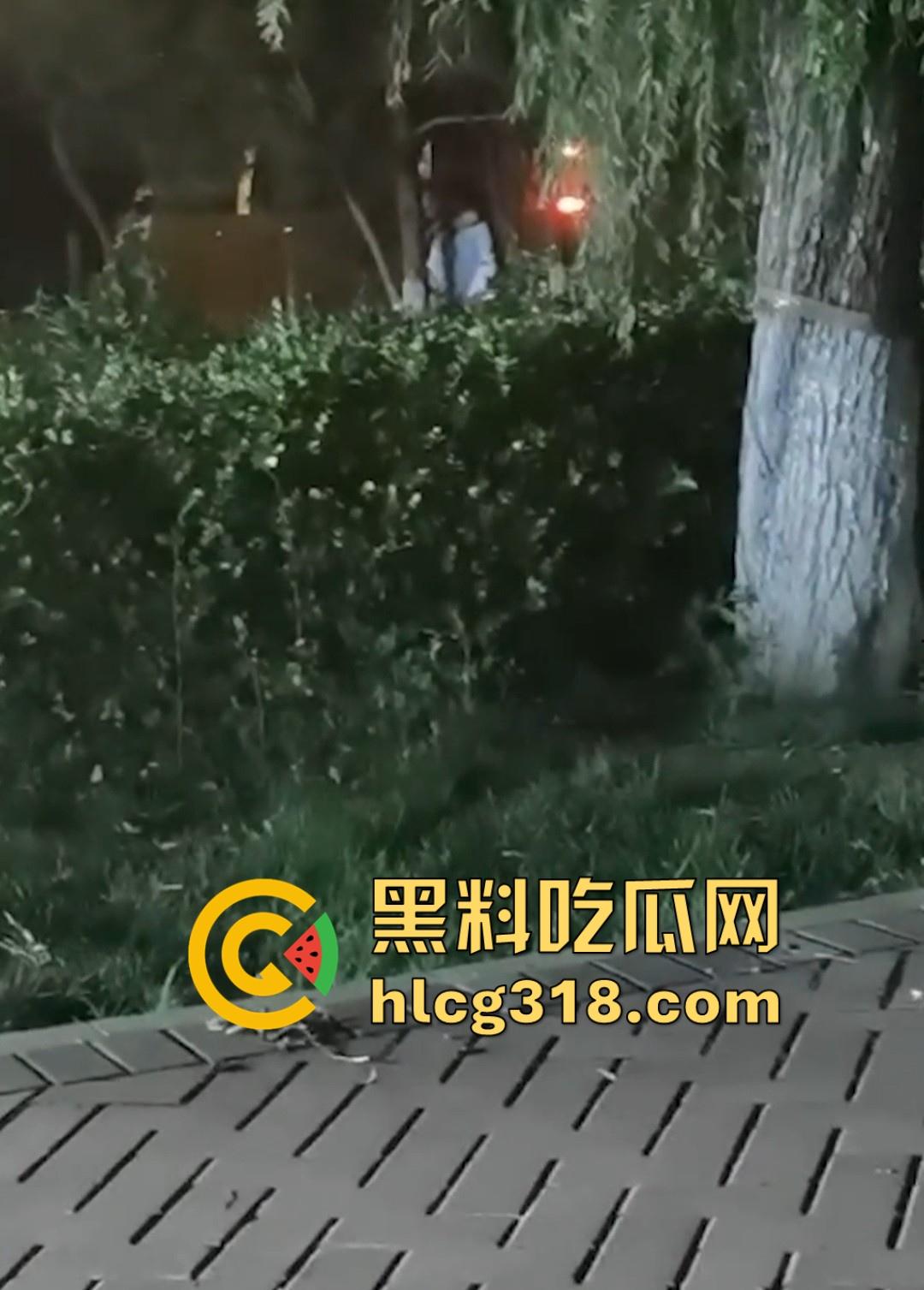 山东东营大爷大妈夜市小树林大战！直立后入爆操，激烈而迅猛，但仅仅只维持了一分多钟就潦草收场！-1