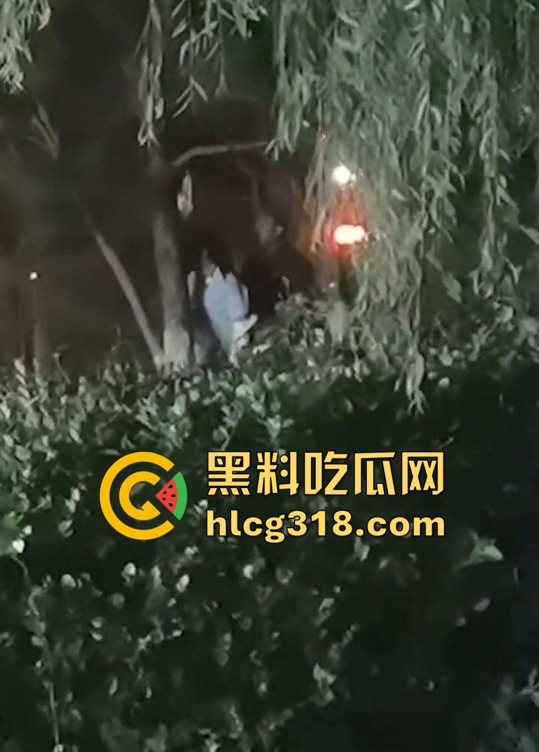 山东东营大爷大妈夜市小树林大战！直立后入爆操，激烈而迅猛，但仅仅只维持了一分多钟就潦草收场！-3