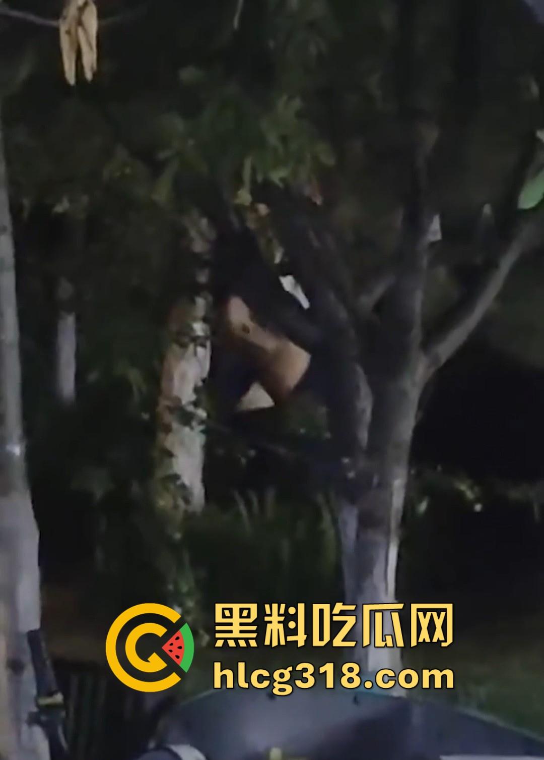山东东营大爷大妈夜市小树林大战！直立后入爆操，激烈而迅猛，但仅仅只维持了一分多钟就潦草收场！-4