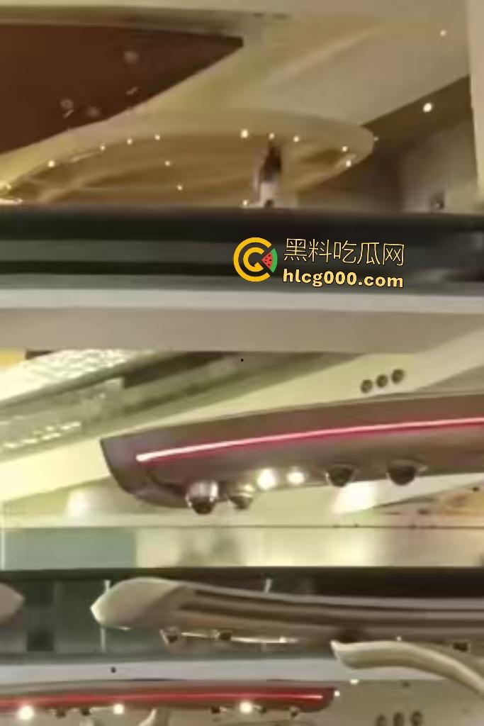 澳门金沙女子因欠下巨额赌债，在高楼跳楼，最后直接被消防人员一把拉下！-5