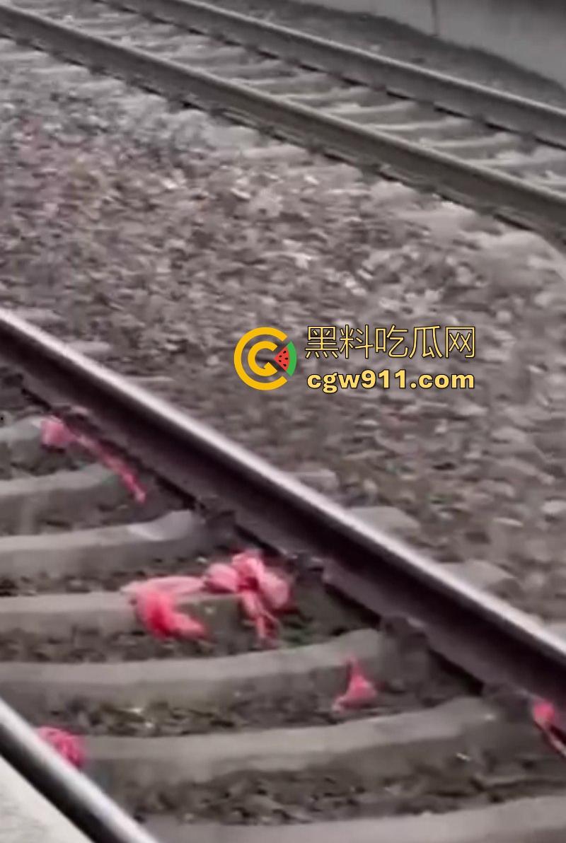 海外男子站台裸奔自杀,下定决心跳轨被火车碾压,身体碎片散落满地,画面血腥胆小勿入!-5