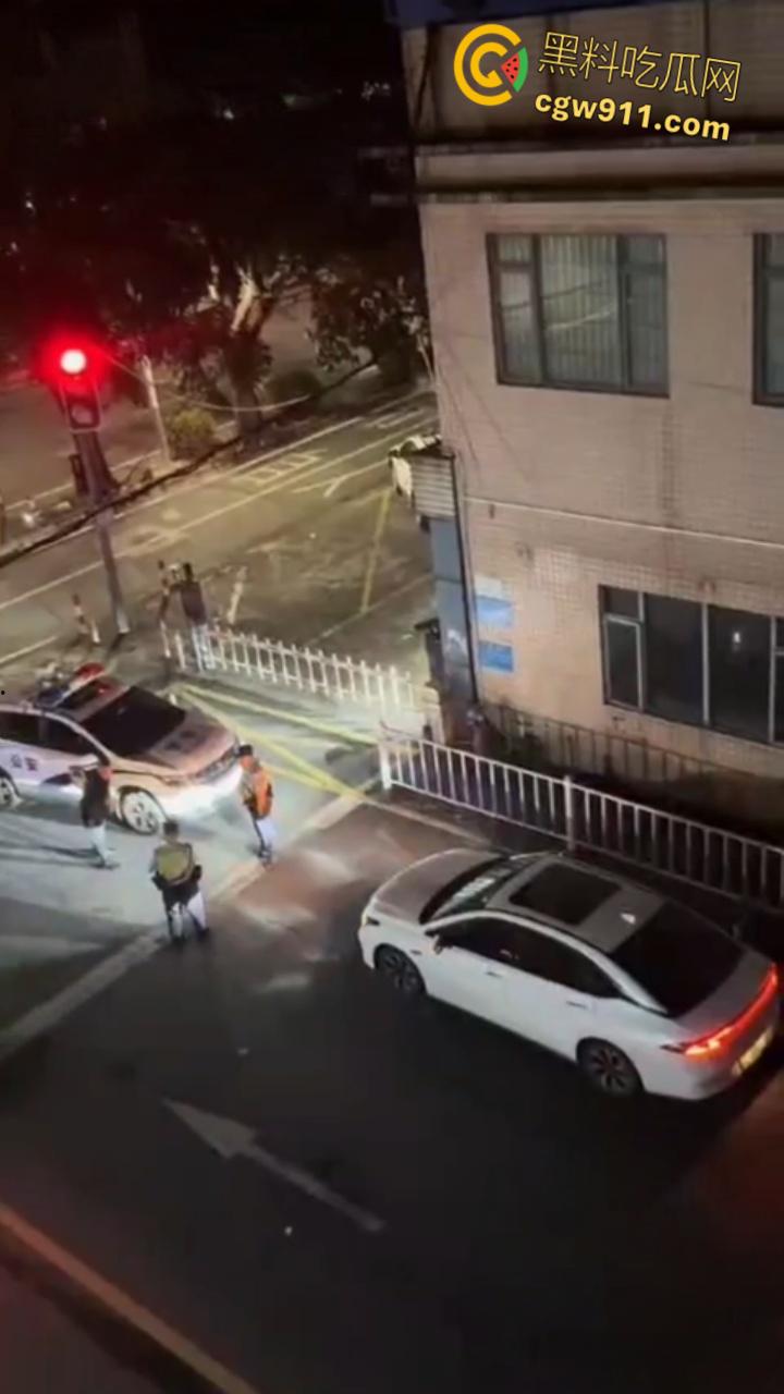 广东河池醉汉酒后失控，成年男子管不住自己酒瘾，深夜街头大打出手大砸车辆，鲜血流淌不仅扰民还伤己 ！-6