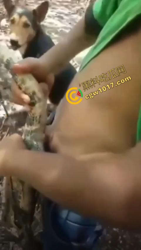 印度阿三享受变态玩乐：鸡巴爆操蜥蜴嫩穴，直到精液喷涌，炫耀异样快感，震撼画面引无数网民围观-2