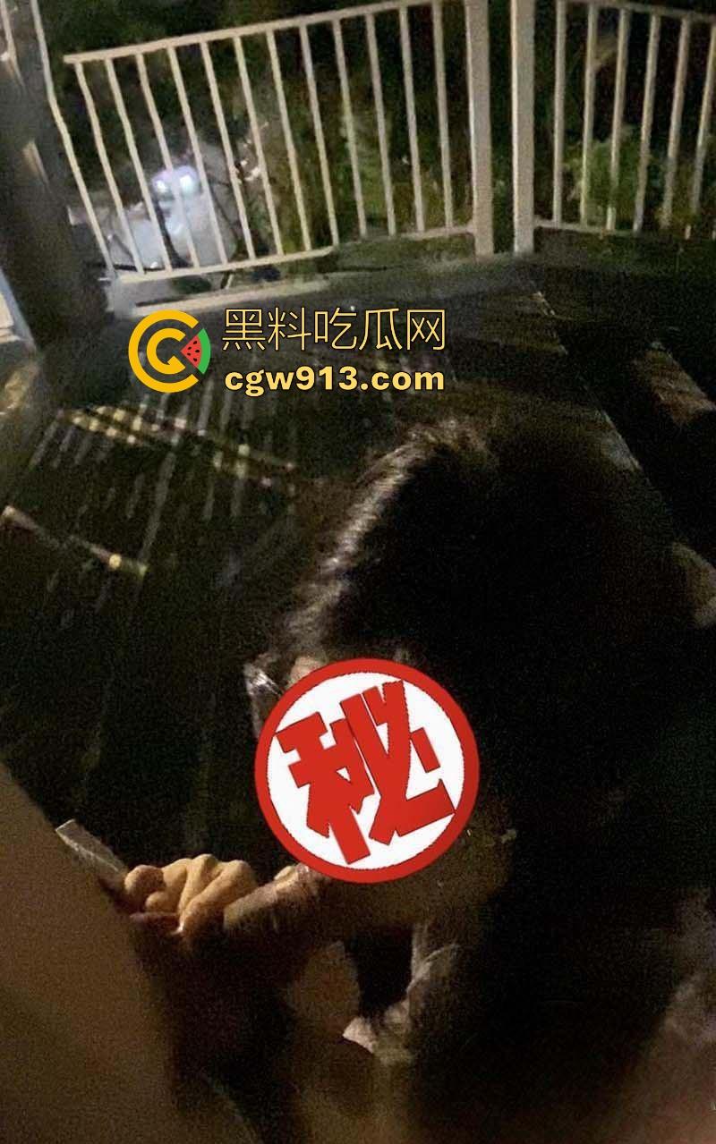 海角大神，尝试与亲妹妹人行天桥上刺激野战，全方位打桩被湿滑蜜舌榨干，真的太刺激了！-9