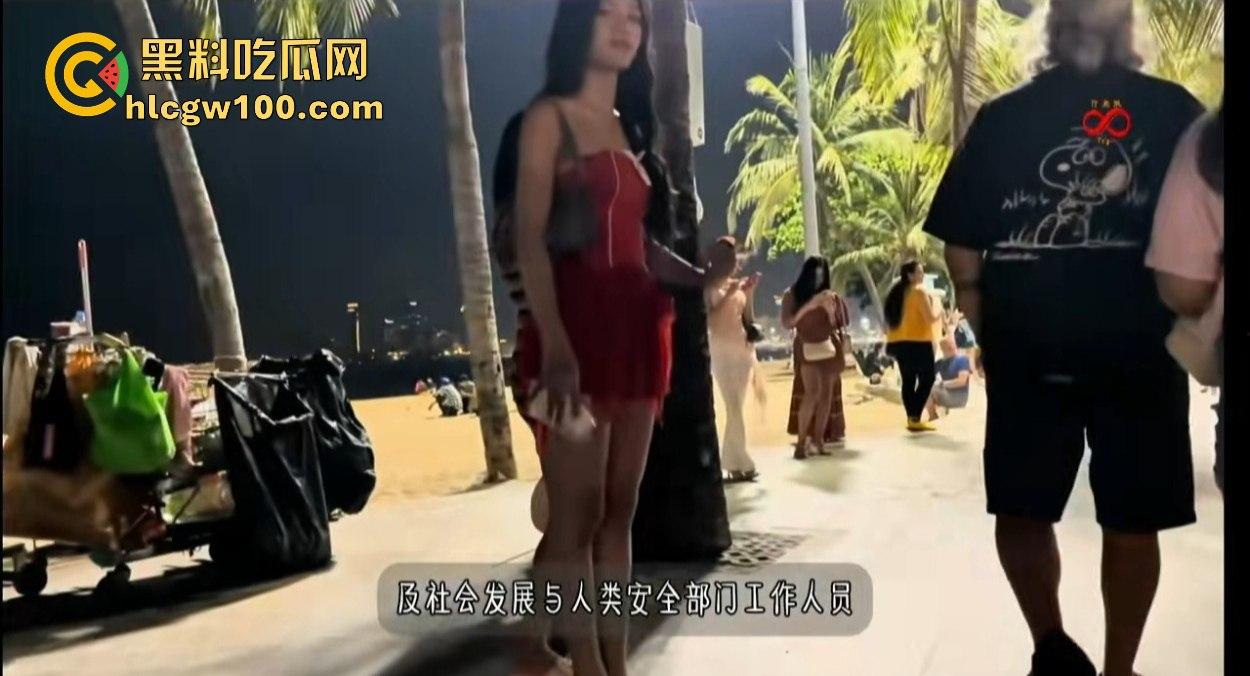芭提雅警方突击行动，进口车遭盘查，大批外国女子椰树下被逮，泰国自由天堂的背后另有隐情？-2