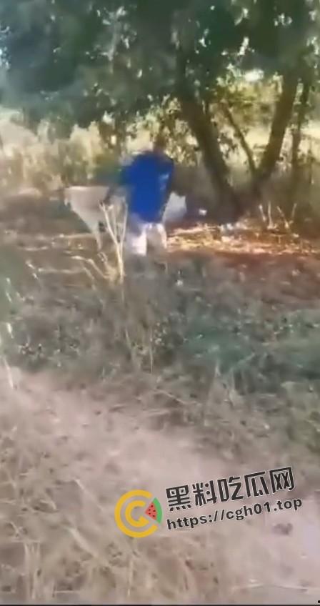 老尼哥被狗草了！这位黑大爷口味属实有点重啊-5