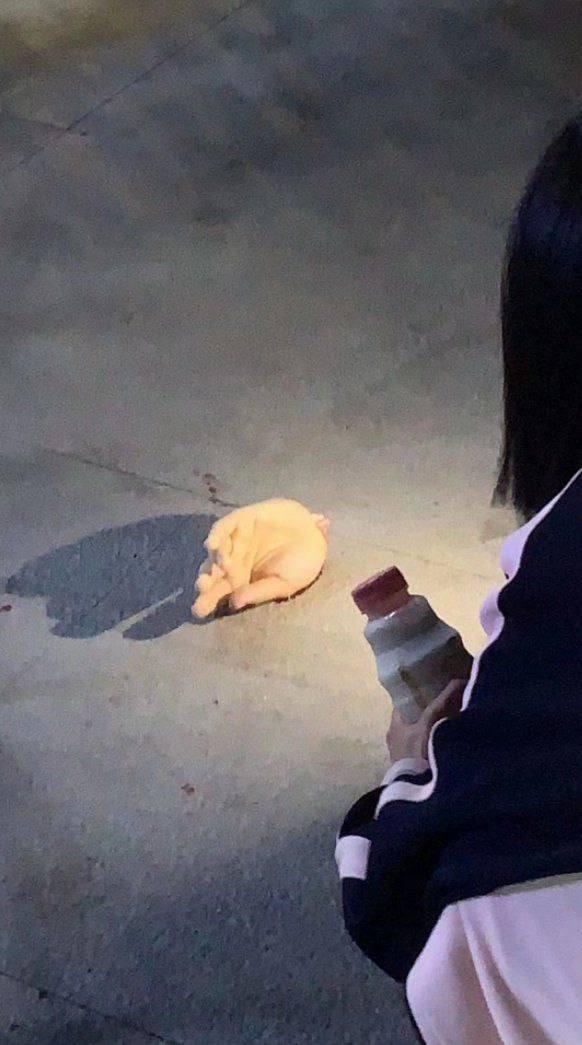 5月23号 厦门华天涉外职业技术学院 直播主 直播中遭刀仔持刀猛砍  左手掌被砍断 现场十分惊悚-8