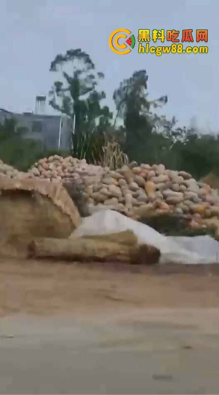 某战区海军战机海南训练失事,飞行员成功跳伞,战机坠毁临高县,所幸未造成地面损失!-9