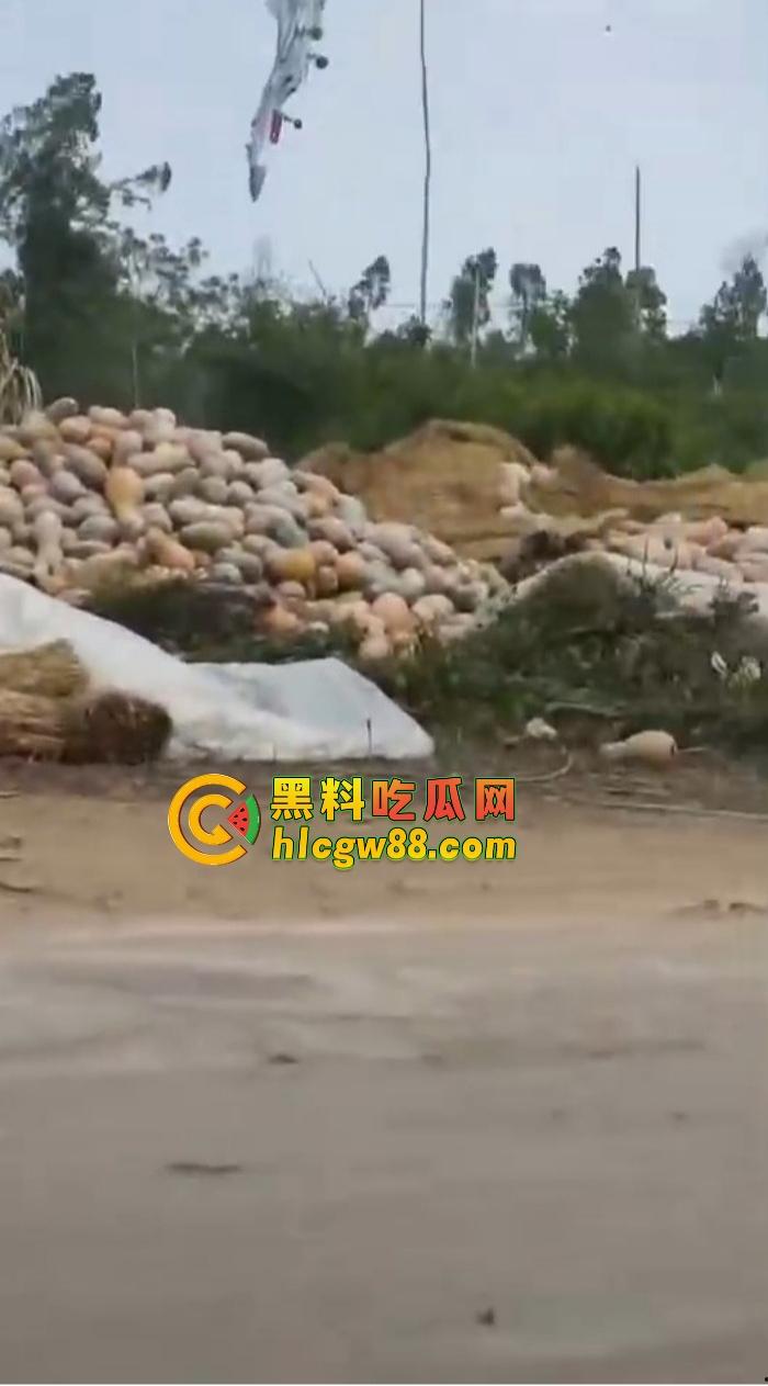 某战区海军战机海南训练失事,飞行员成功跳伞,战机坠毁临高县,所幸未造成地面损失!-12