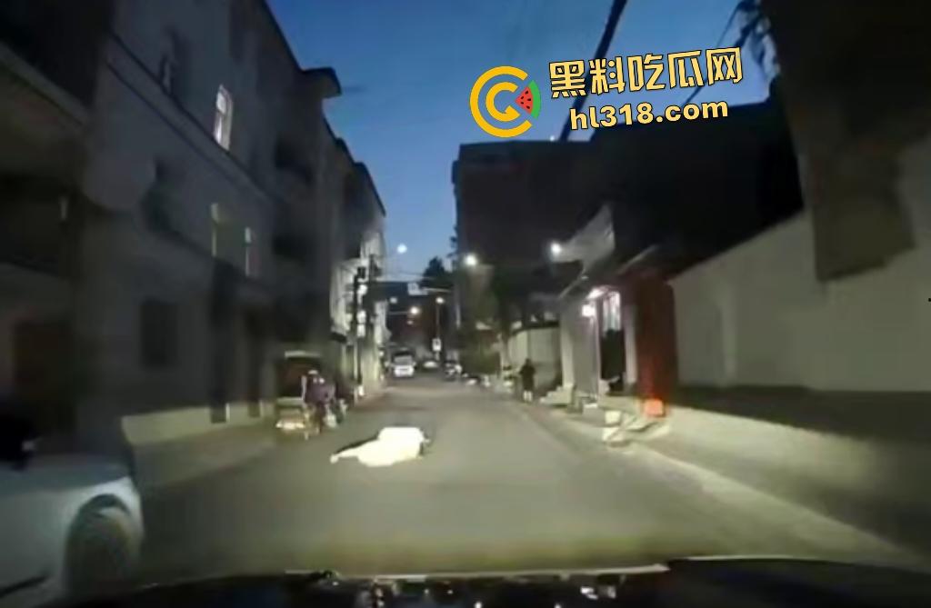 7月28日夜晚重庆一男子挥菜刀怒压妻子在马路，路人喇叭惹祸被菜刀指着，妻子还来劝架又被压在地上！-2