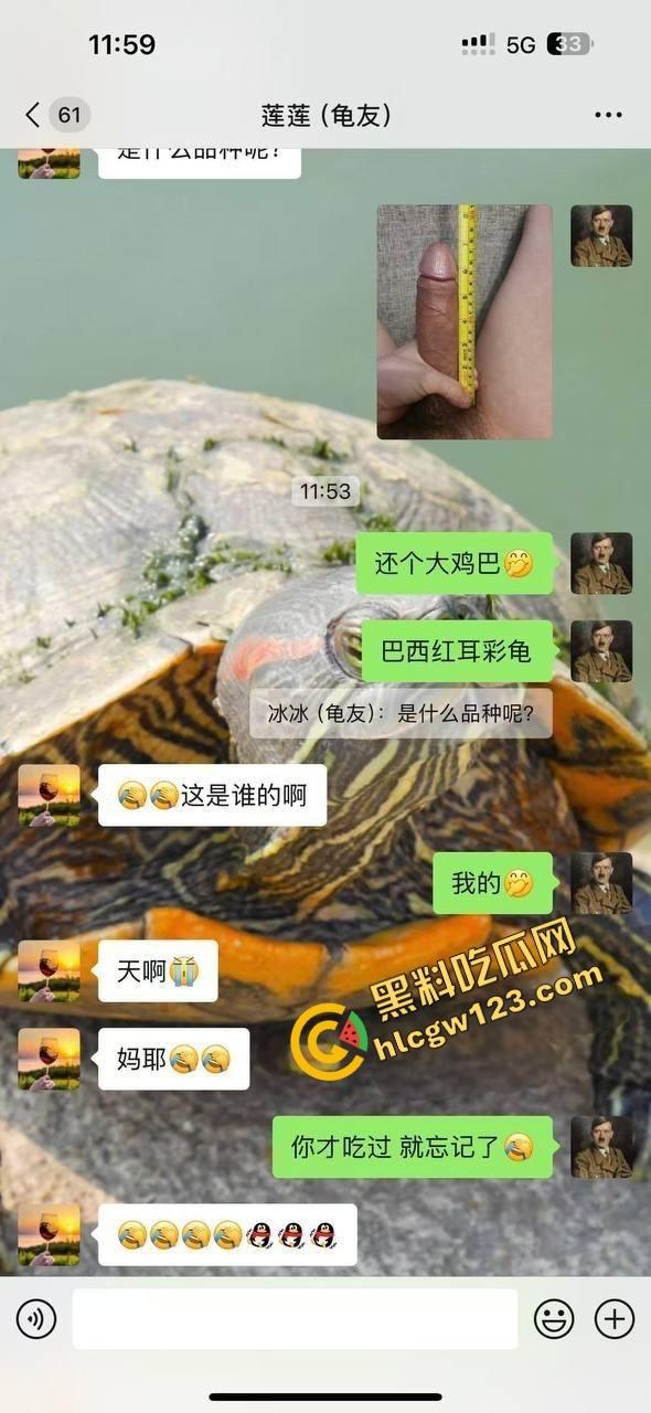 小区楼下遛乌龟竟钓到邻居骚少妇39岁『张珊珊』口活惊艳,屁股一摇榨汁三升,送龟送到床上操!-2