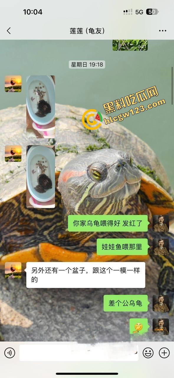 小区楼下遛乌龟竟钓到邻居骚少妇39岁『张珊珊』口活惊艳,屁股一摇榨汁三升,送龟送到床上操!-5