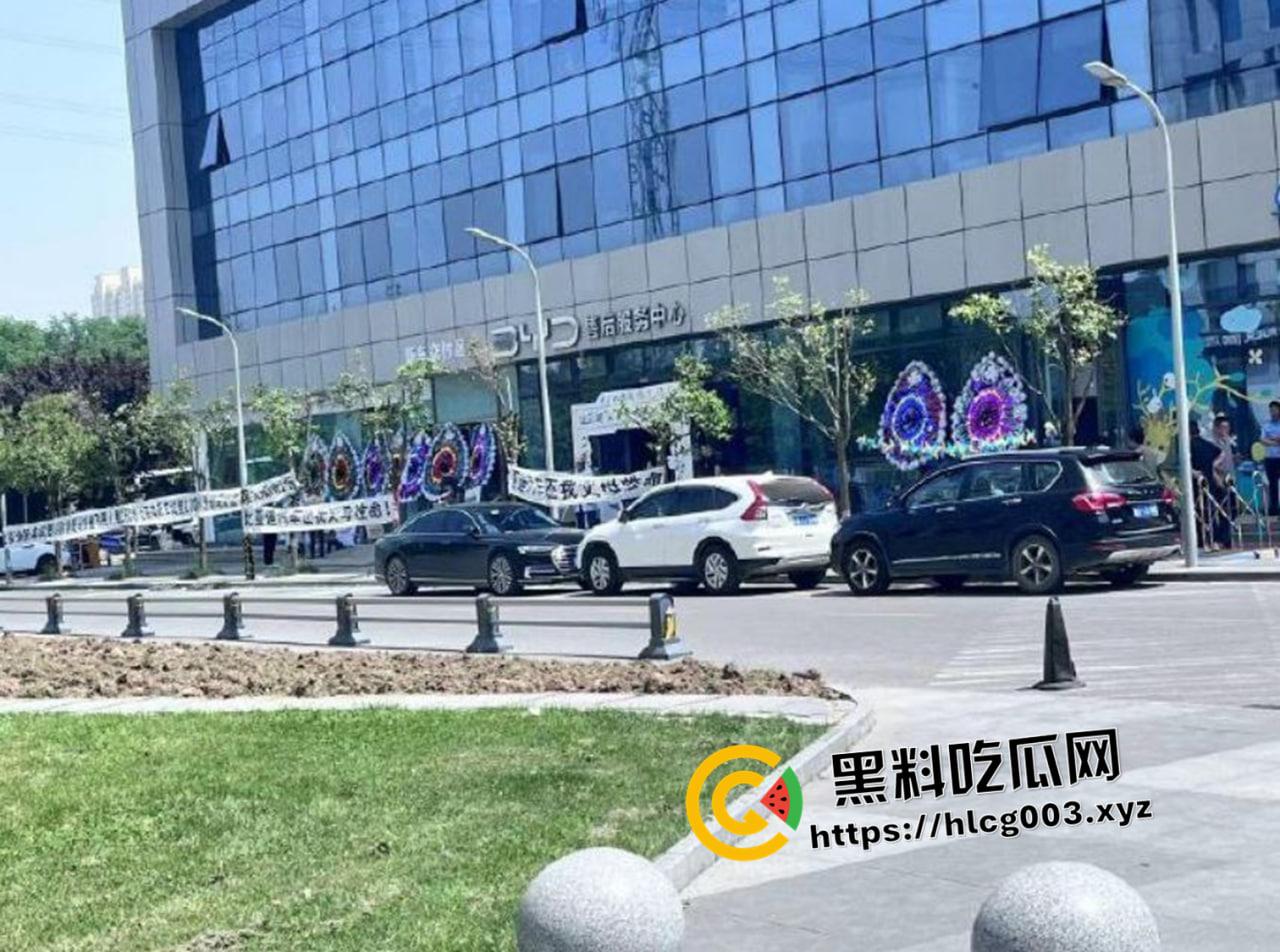 比亚迪车内被电击第一视角!简直就是电车版杨永信 微博抖音被删除视频完整版-2