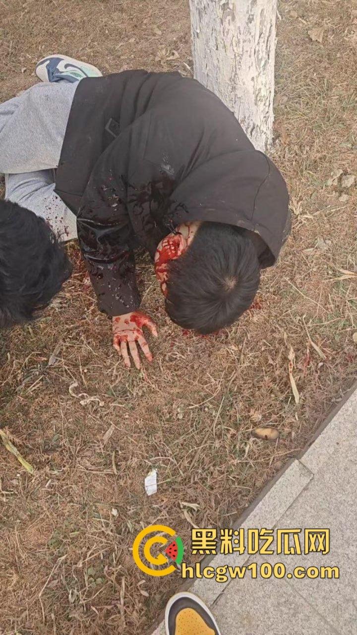 山东临沂精神小伙为抢女神交配权带兄弟持刀砍情敌 拉架小哥惨遭爆头当场脑袋开花 现场爆血视频流出!-8