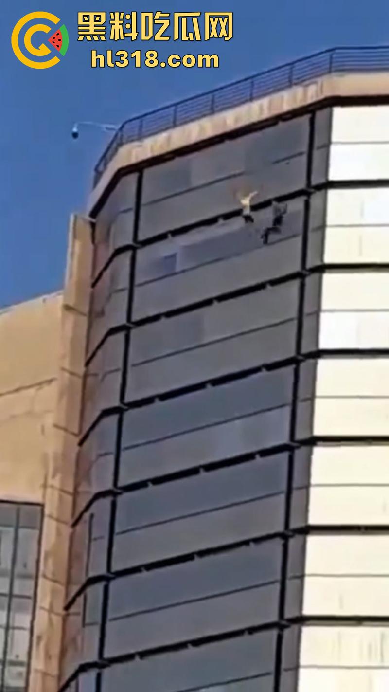 巴西男子跳楼现场,因所要医疗保险无果,直接跑到保险公司楼顶,几番犹豫后一跃而下!-7