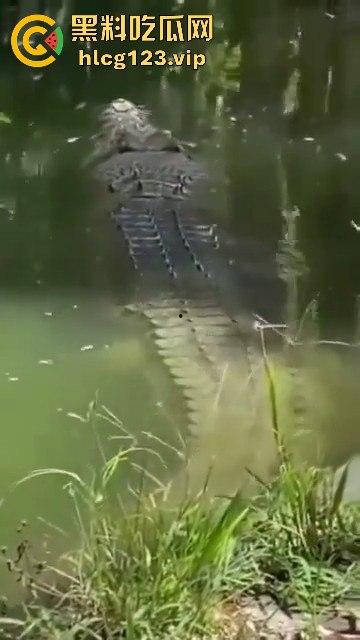 鳄鱼杀人开宴！小镇女孩惨遭下肚，砂捞越首次鳄鱼吃人，残骸成谜！-3