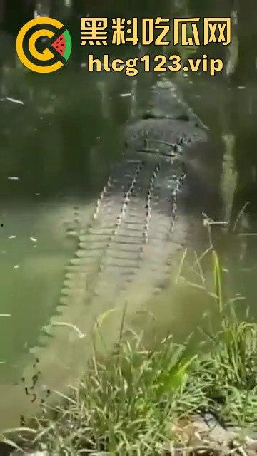 鳄鱼杀人开宴！小镇女孩惨遭下肚，砂捞越首次鳄鱼吃人，残骸成谜！-4