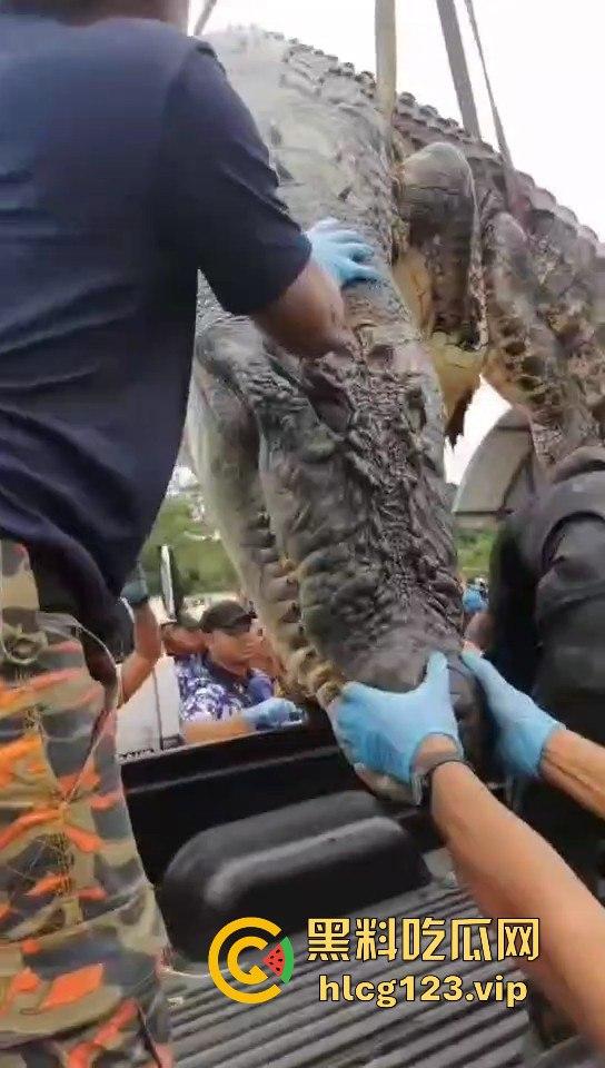 鳄鱼杀人开宴！小镇女孩惨遭下肚，砂捞越首次鳄鱼吃人，残骸成谜！-11