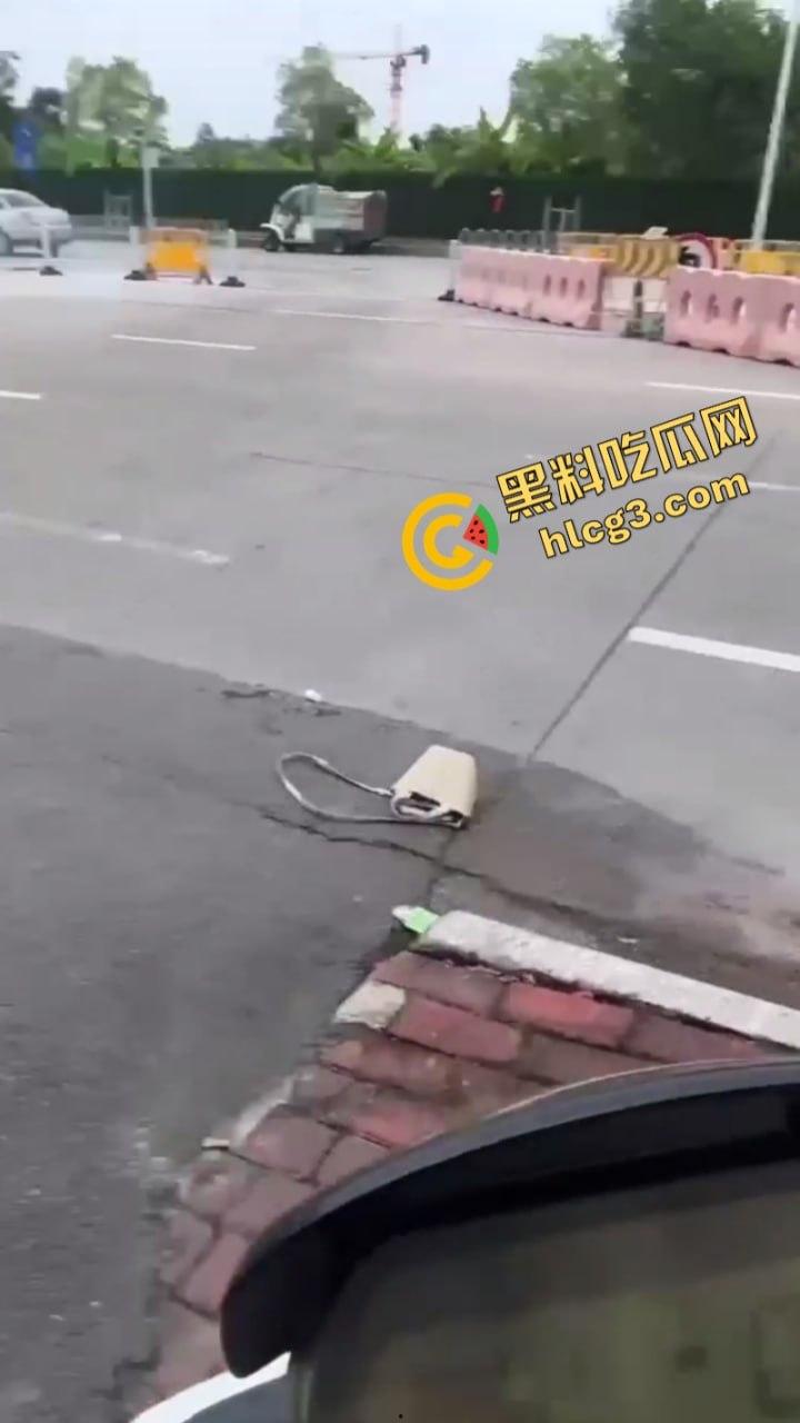 广东一女子接朋友去喝茶 没想到半路上被阎王接走了!-5