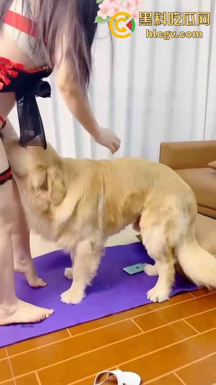 抖音小姐姐【香香公主】给科普兽交注意事项 每天都在和金毛上演人兽配!-10