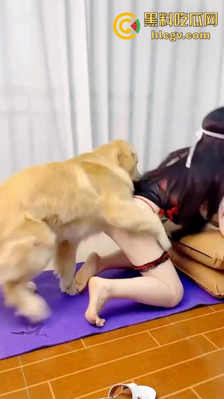 抖音小姐姐【香香公主】给科普兽交注意事项 每天都在和金毛上演人兽配!-11
