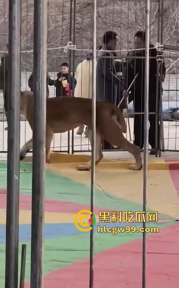 山西运城大年初三狮子突然发疯当街撕咬活人 驯兽师狂揍都没用 死咬不松口!-11