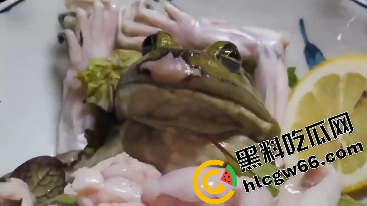 蛙蛙刺身，现杀现吃！上半身还在挣扎，下半身已经下肚，小日子这口味是真敢整！-6