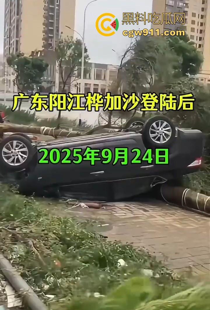 最强的超级台风【桦加沙】登陆阳江后的真实状况,到处都是被吹到的树玻璃,人类在大自然面前是多么渺小啊!-1