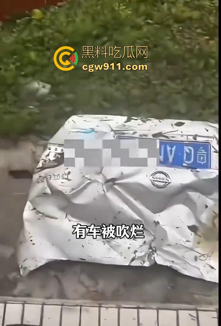 最强的超级台风【桦加沙】登陆阳江后的真实状况,到处都是被吹到的树玻璃,人类在大自然面前是多么渺小啊!-4