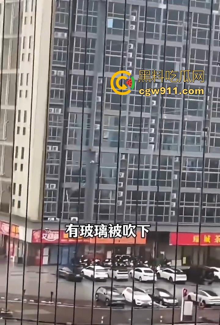 最强的超级台风【桦加沙】登陆阳江后的真实状况,到处都是被吹到的树玻璃,人类在大自然面前是多么渺小啊!-5