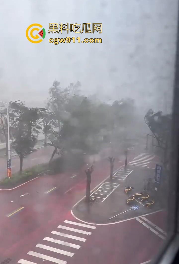最强的超级台风【桦加沙】登陆阳江后的真实状况,到处都是被吹到的树玻璃,人类在大自然面前是多么渺小啊!-13