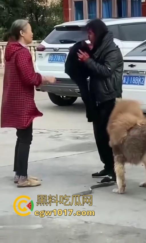 七年老狗反咬主人,不是虐待就突然发疯,满脸都是血,大型狗真恐怖,随后安排处死,这时候爱狗人士怎么不说话了!-3