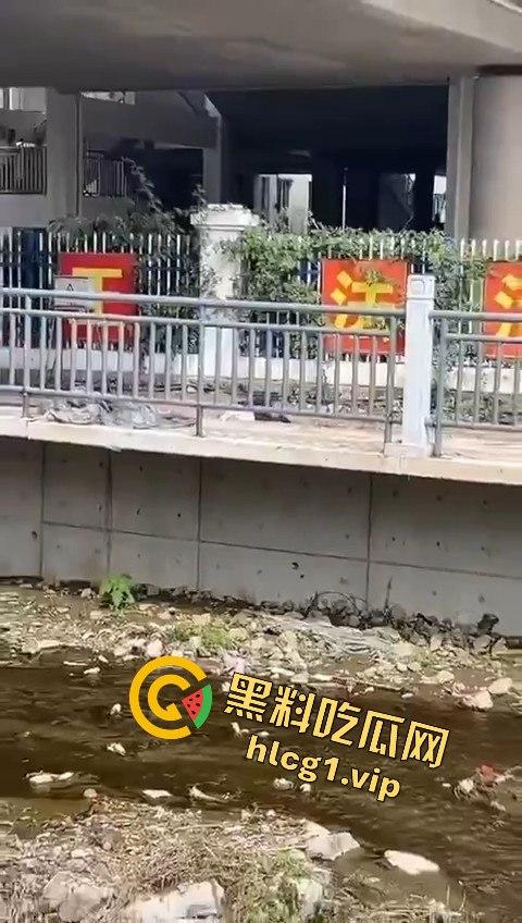 秦皇岛一中高一学生压力大，竟用摔断腿逃学！以身入局的聪明计谋？-8