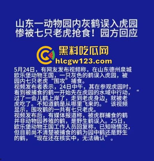 山东德州欧乐堡惊现一只大鹤误入虎区,七虎围成战术扇形现场1V7,最后成了热菜!-1