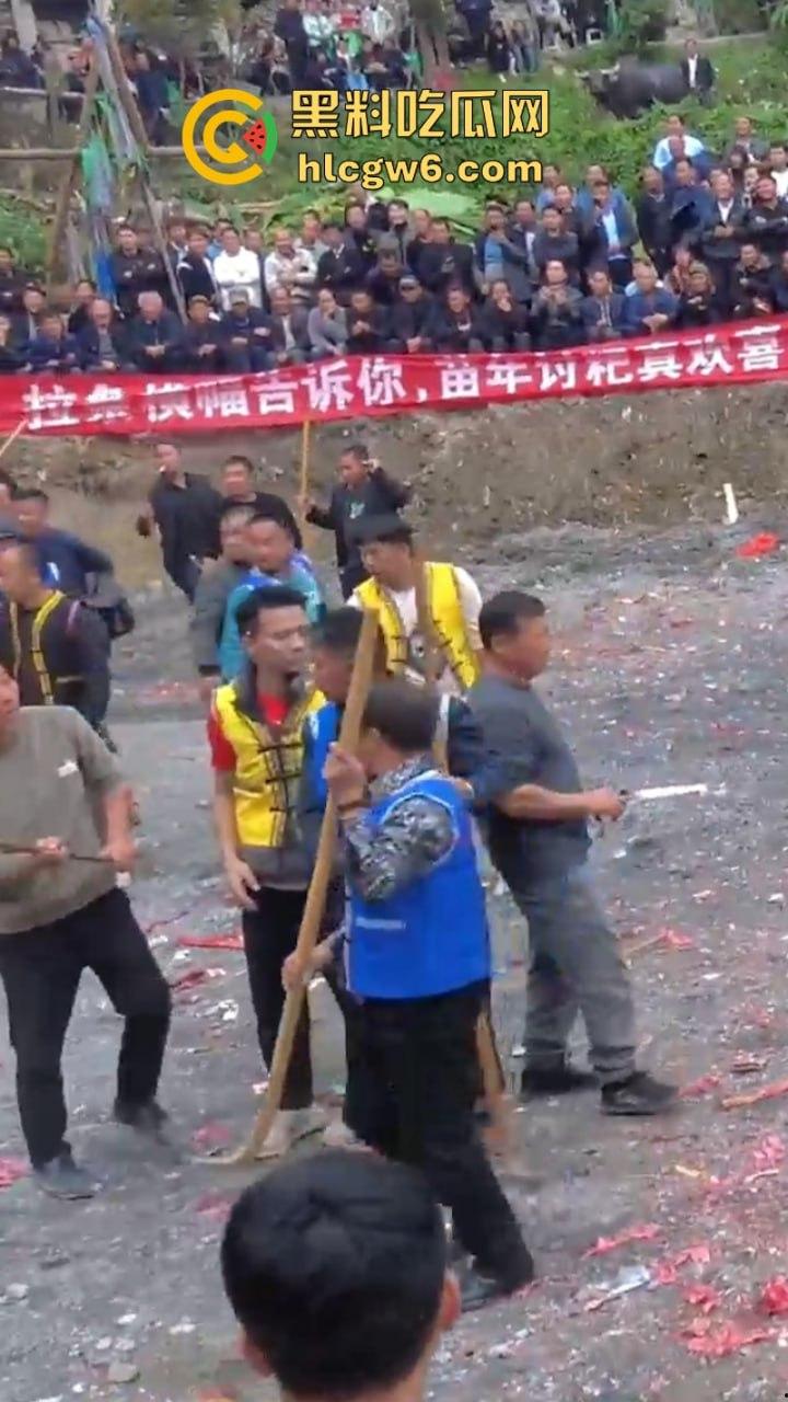 牛王陨落！贵州七十二寨斗牛王小山虎与神威大将军相撞同亡 残忍现场视频流出-9
