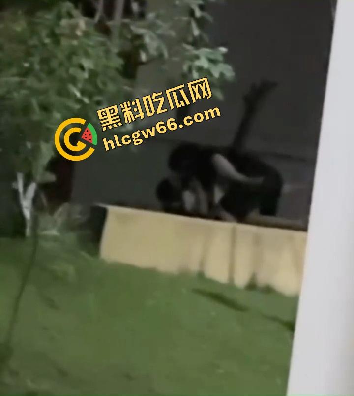 离谱到飞起，一对狗男女在医院小花园直播做爱，护士小姐姐排排站吃瓜围观，白大褂都看红了脸！-6